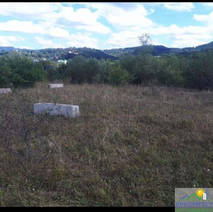 photo_5321307177026787430_x