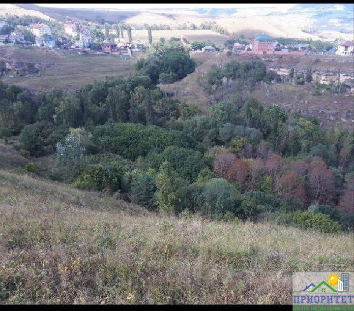 photo_5321307177026787424_x