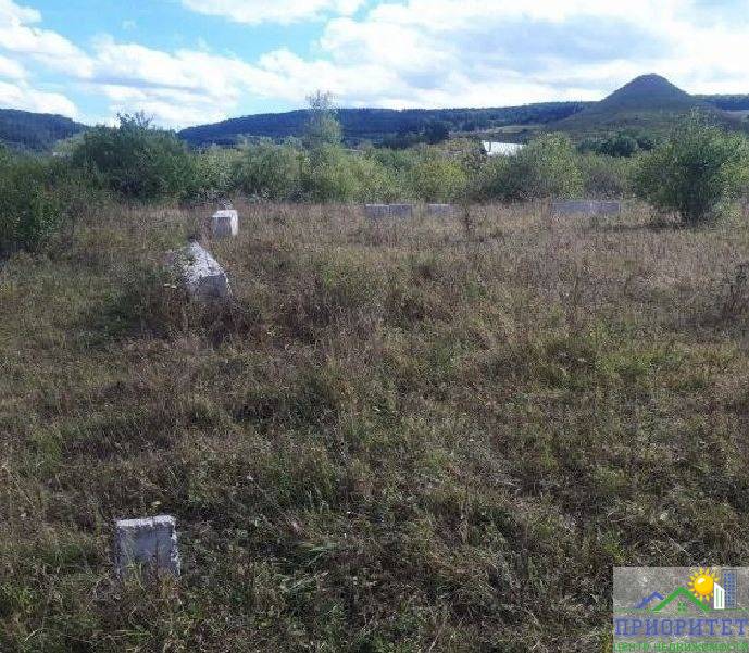 photo_5321307177026787421_x