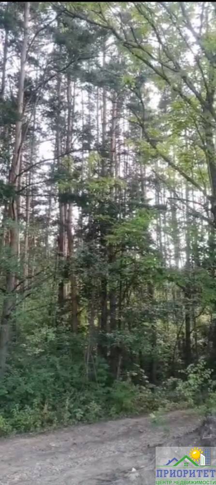 photo_5334611491061174954_y