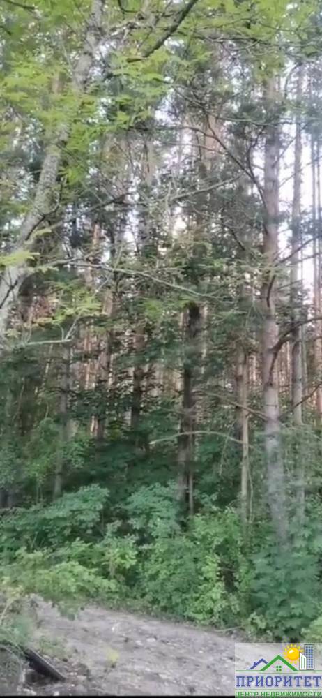 photo_5334611491061174955_y