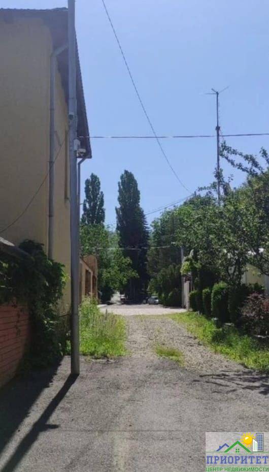 photo_5334611491061175135_y