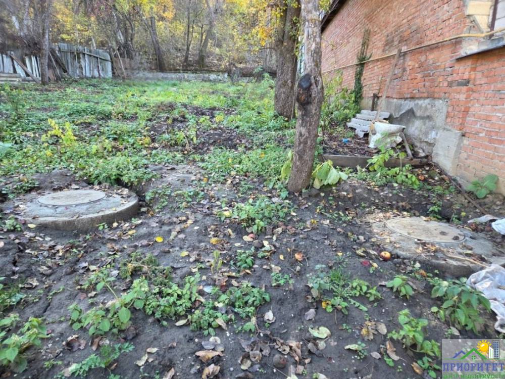 photo_5334611491061175136_y