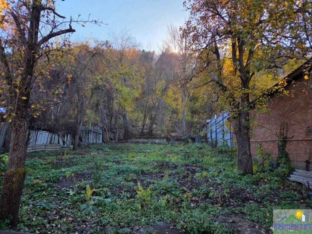 photo_5334611491061175137_y