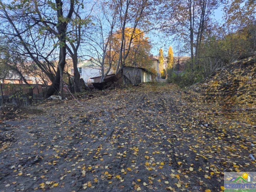 photo_5334611491061175141_y