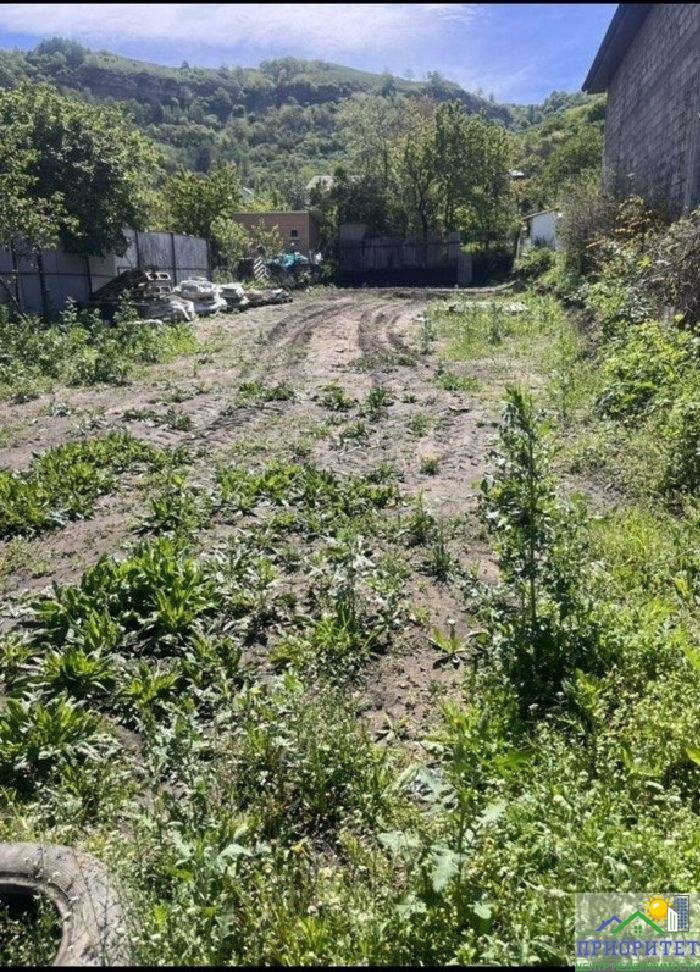 photo_5337316573133346671_y