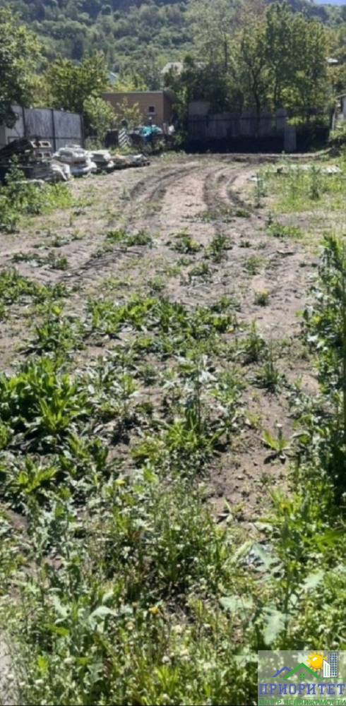 photo_5337316573133346673_y