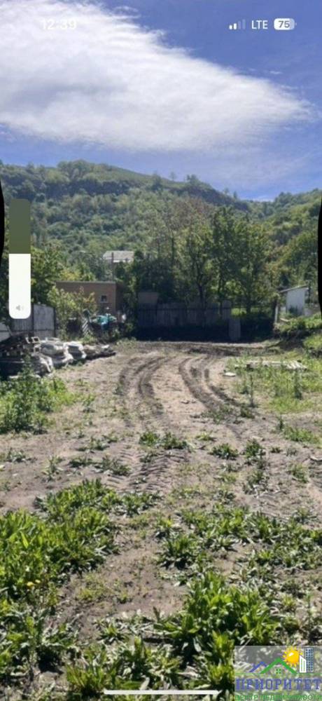 photo_5337316573133346675_y