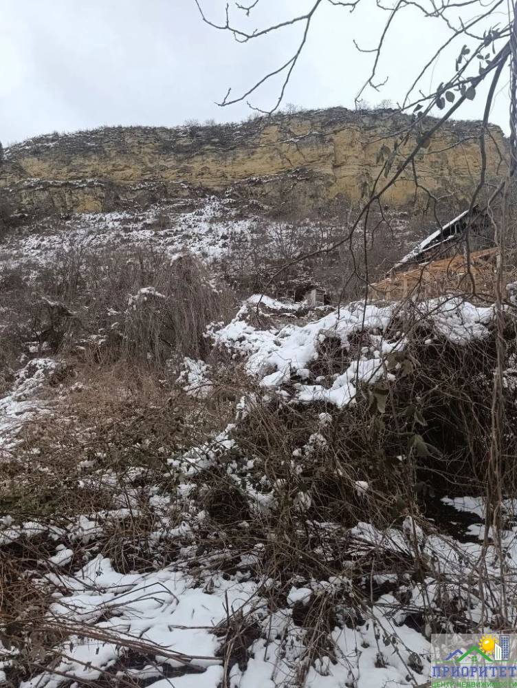 photo_5343669345160206436_y