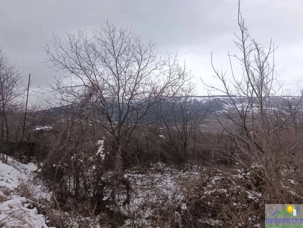 photo_5343669345160206438_y