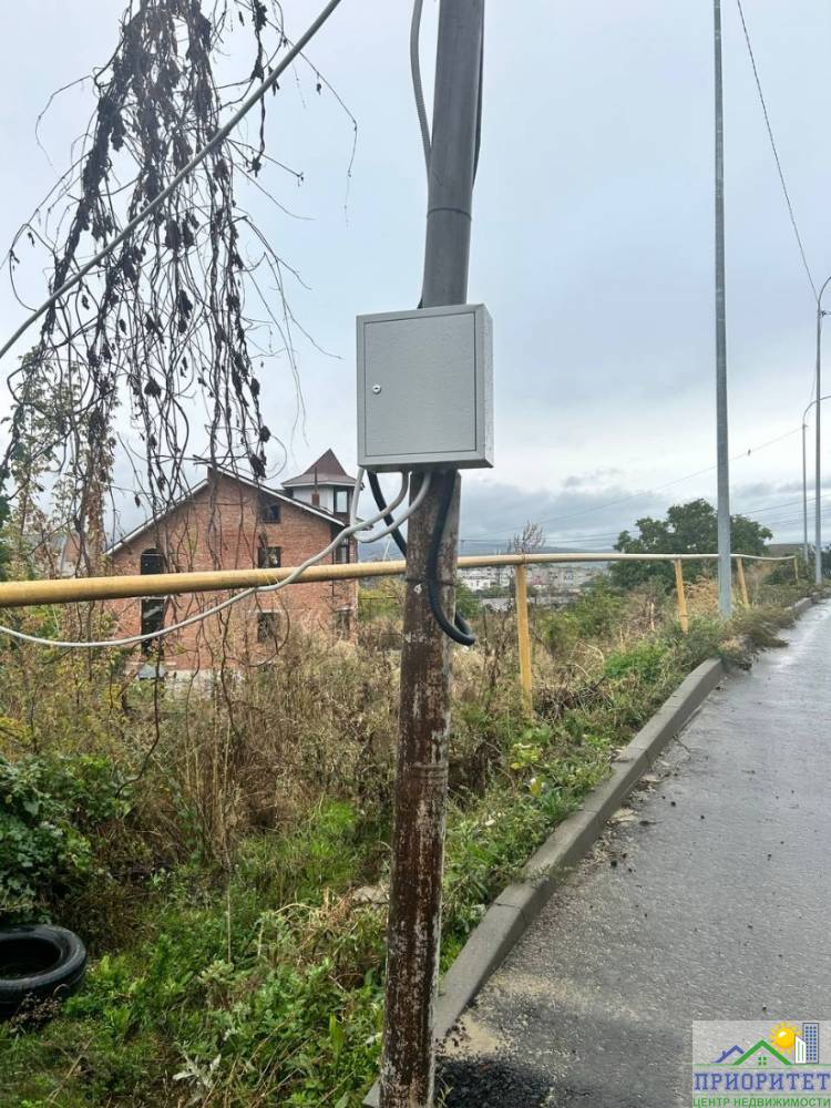 photo_5343745679613957737_y