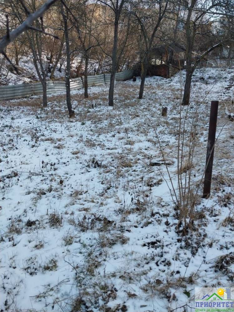 photo_5345775232049943538_y