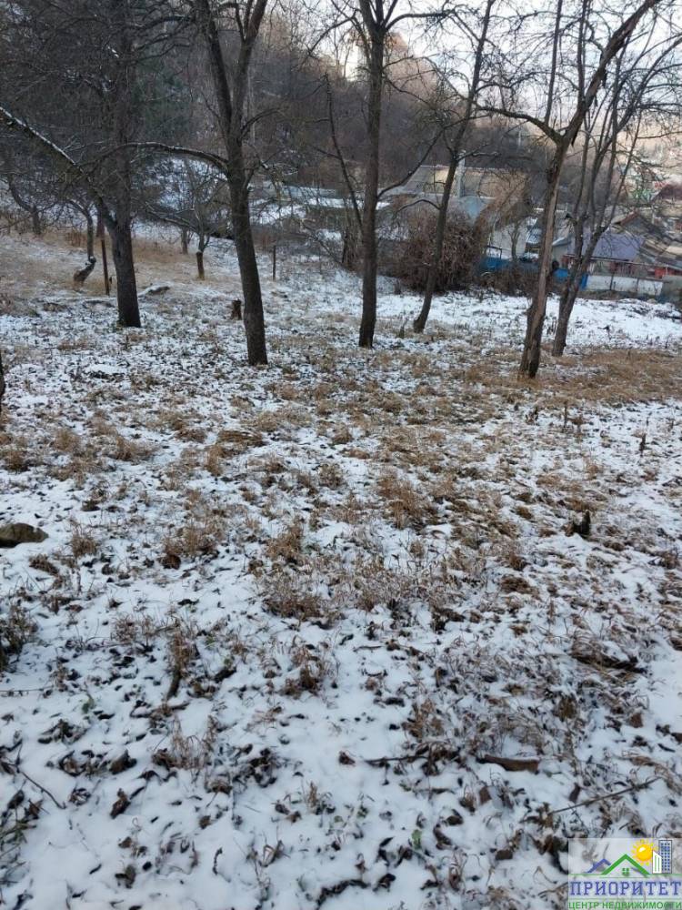 photo_5345775232049943541_y