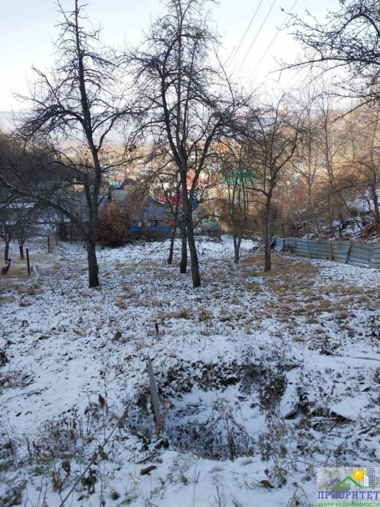 photo_5345775232049943544_y