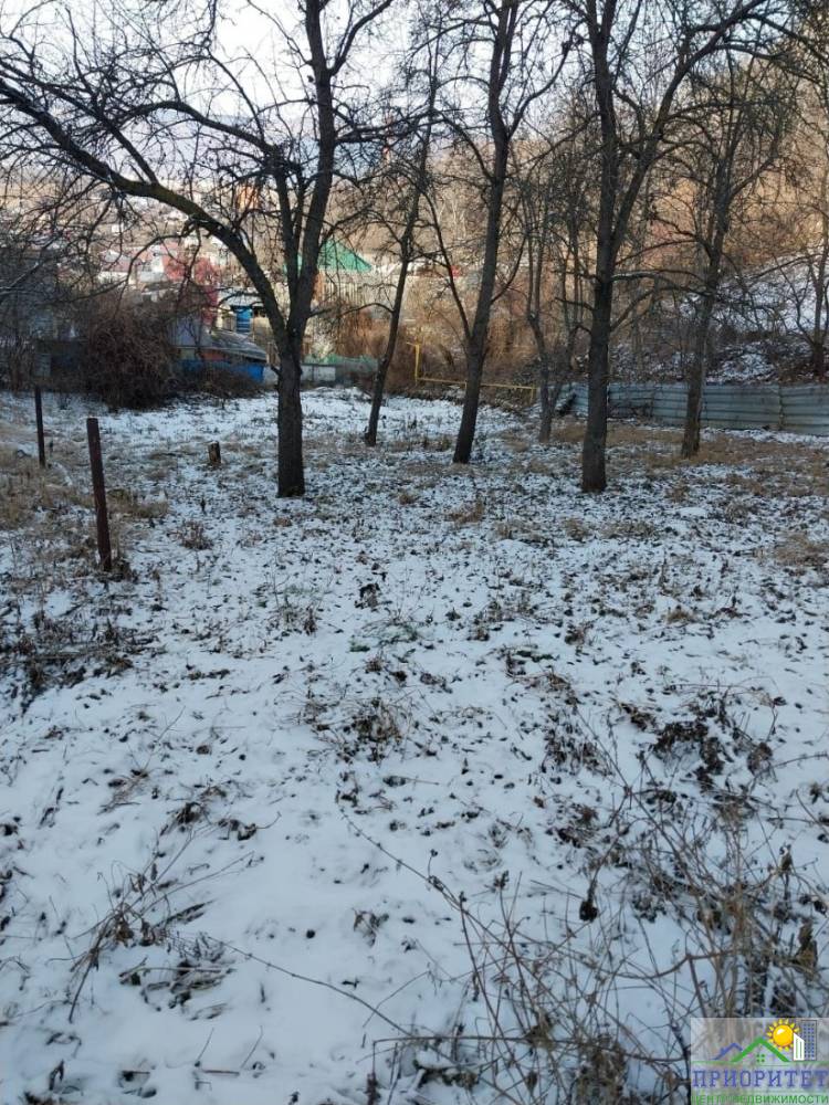 photo_5345775232049943545_y