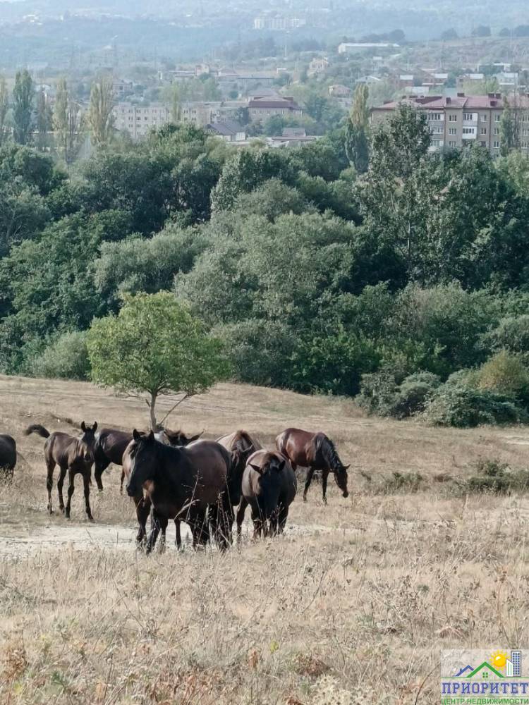 photo_5345775232049943587_y