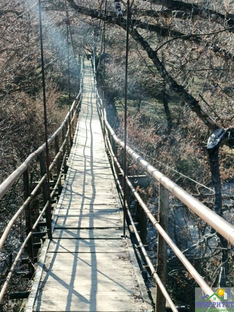 photo_5345775232049943588_y