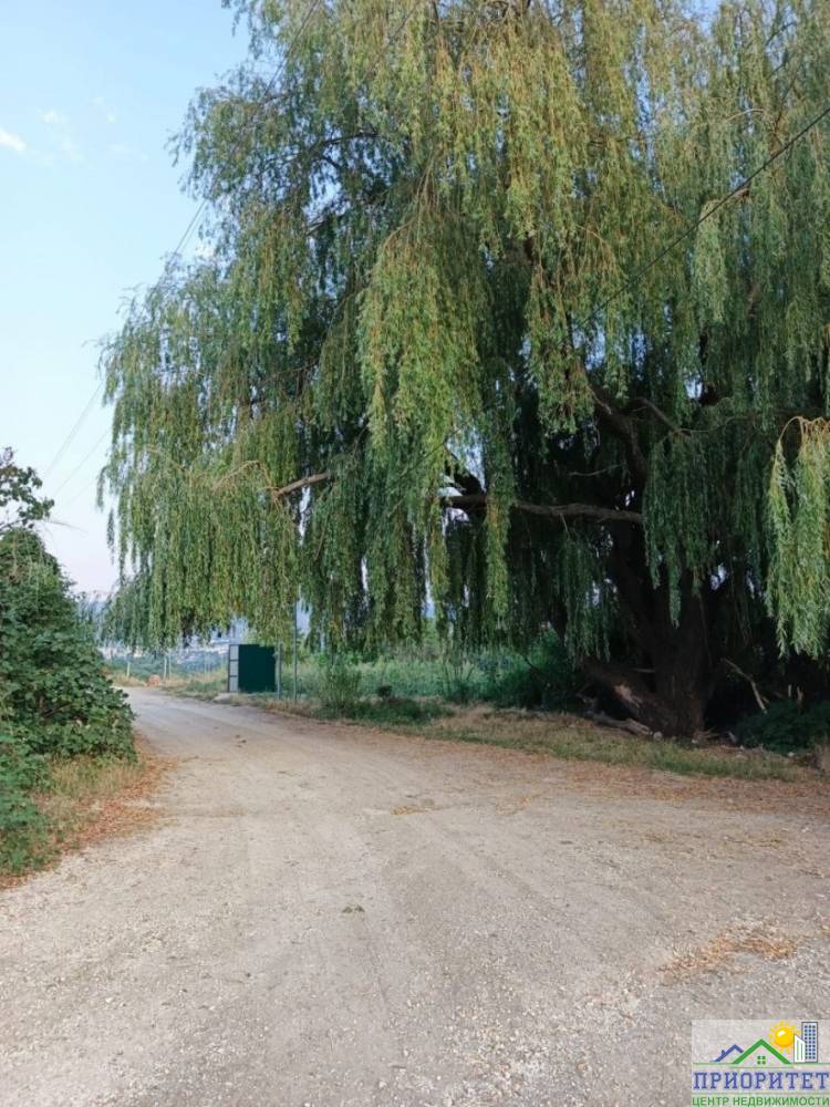 photo_5345775232049943590_y