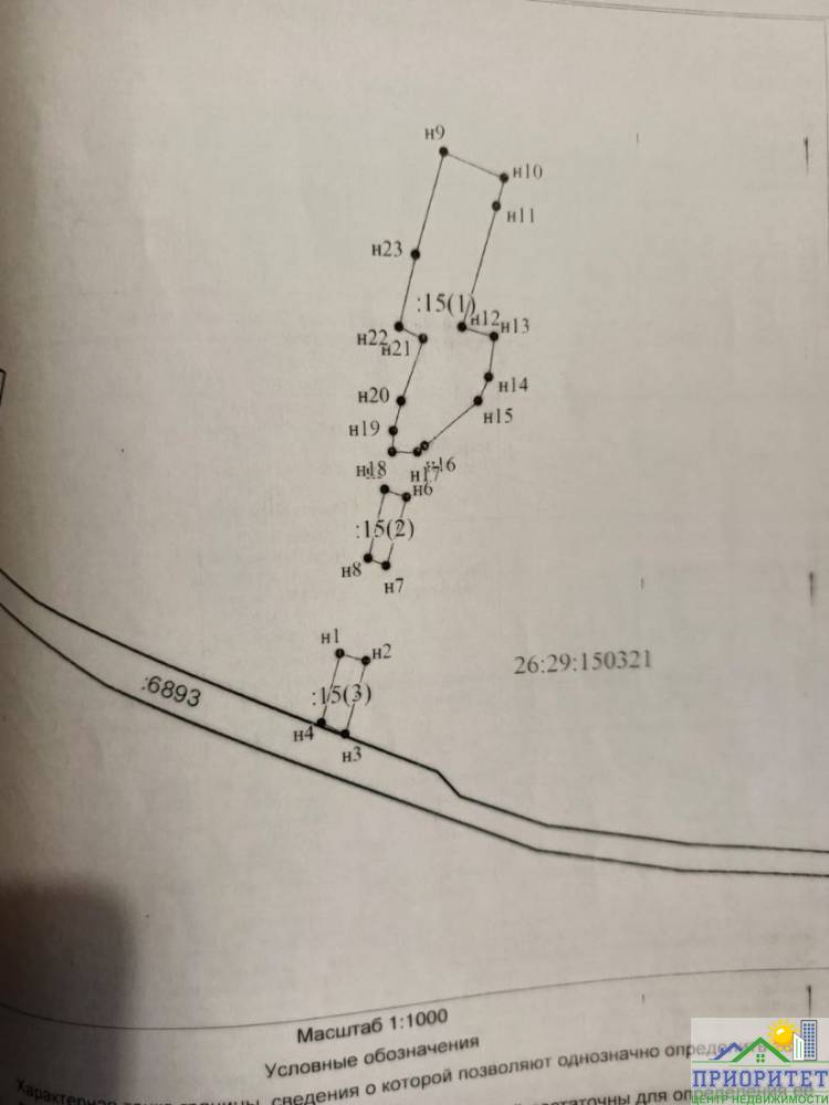 photo_5345775232049943594_y