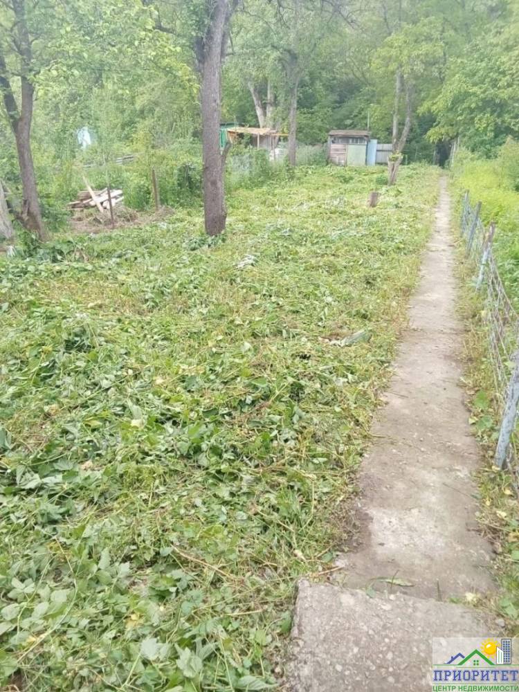 photo_5345775232049943661_y