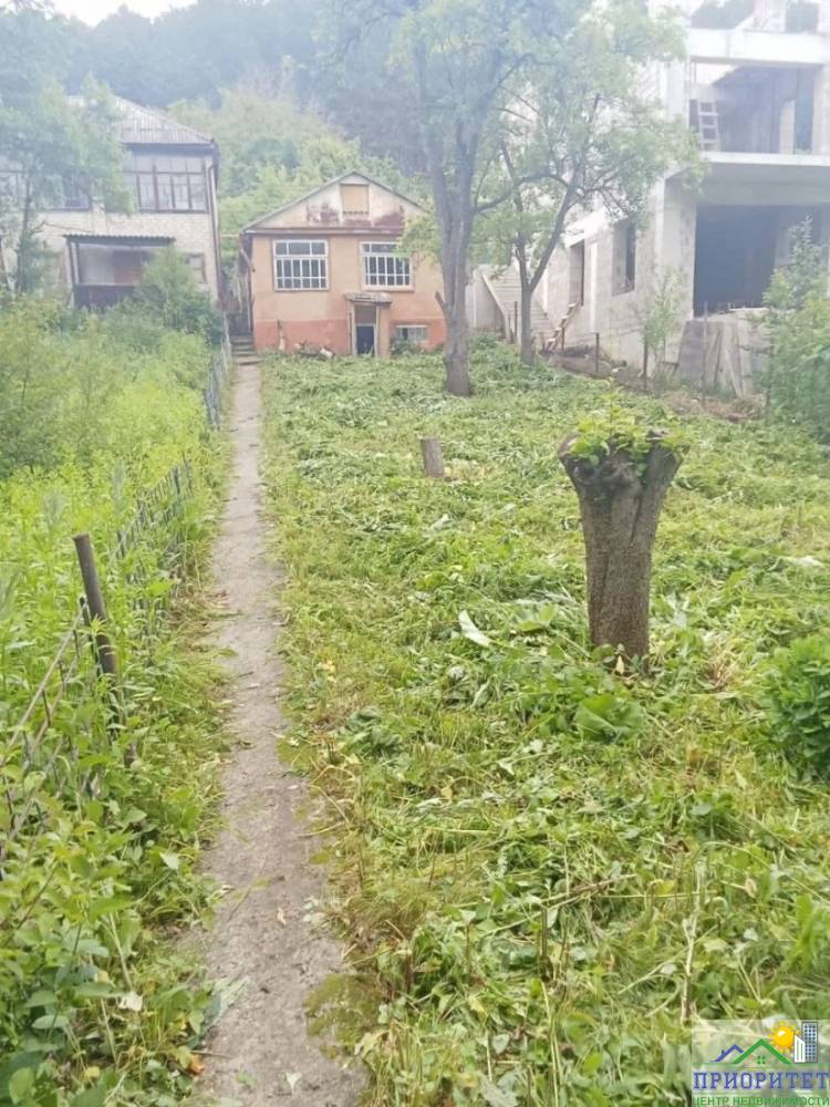 photo_5345775232049943662_y