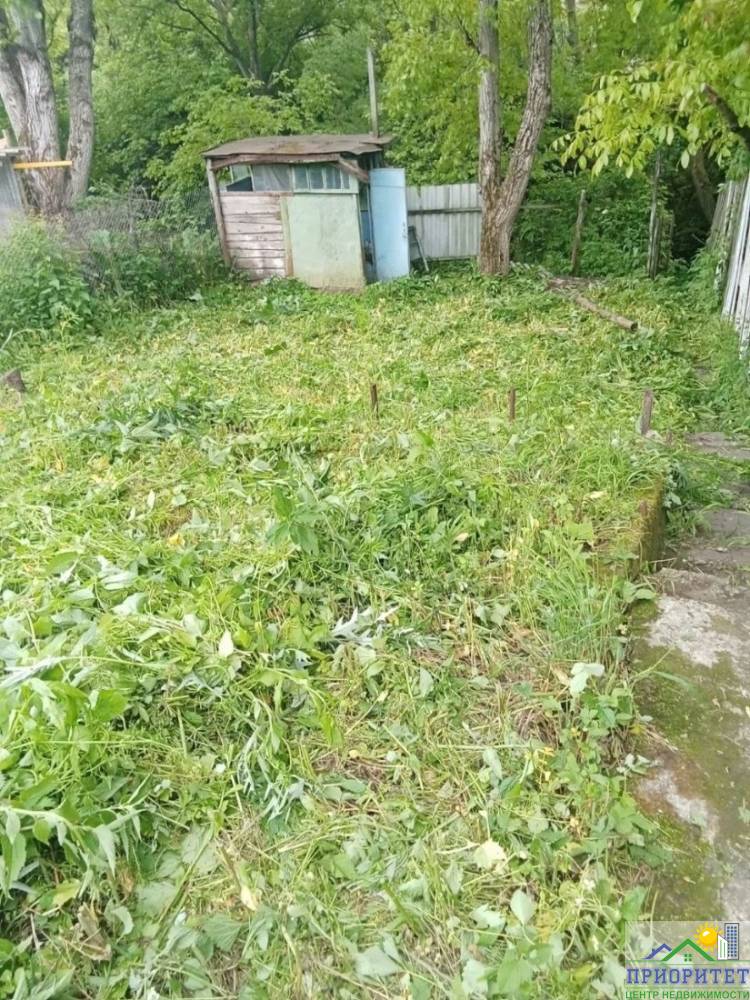 photo_5345775232049943663_y