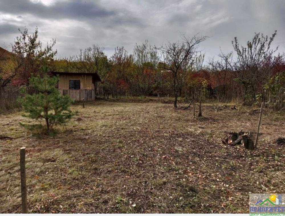 photo_5355228790075888968_y