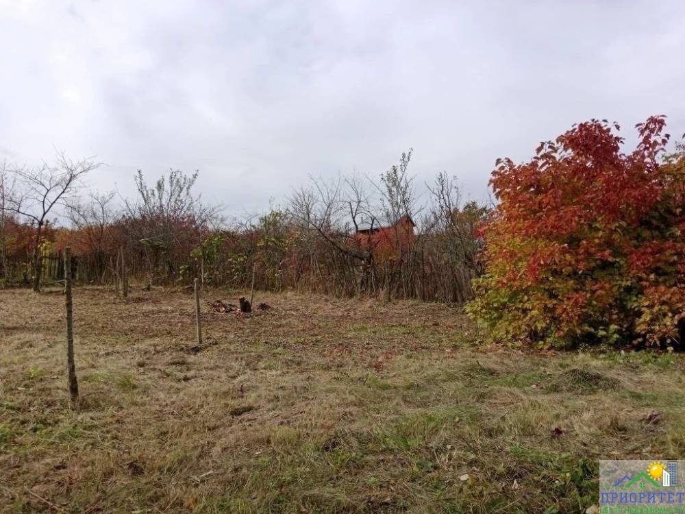 photo_5355228790075888936_y