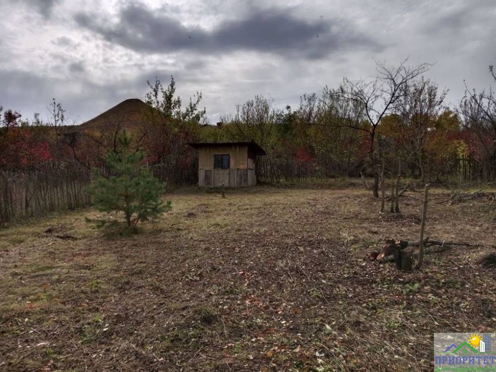 photo_5355228790075888937_y