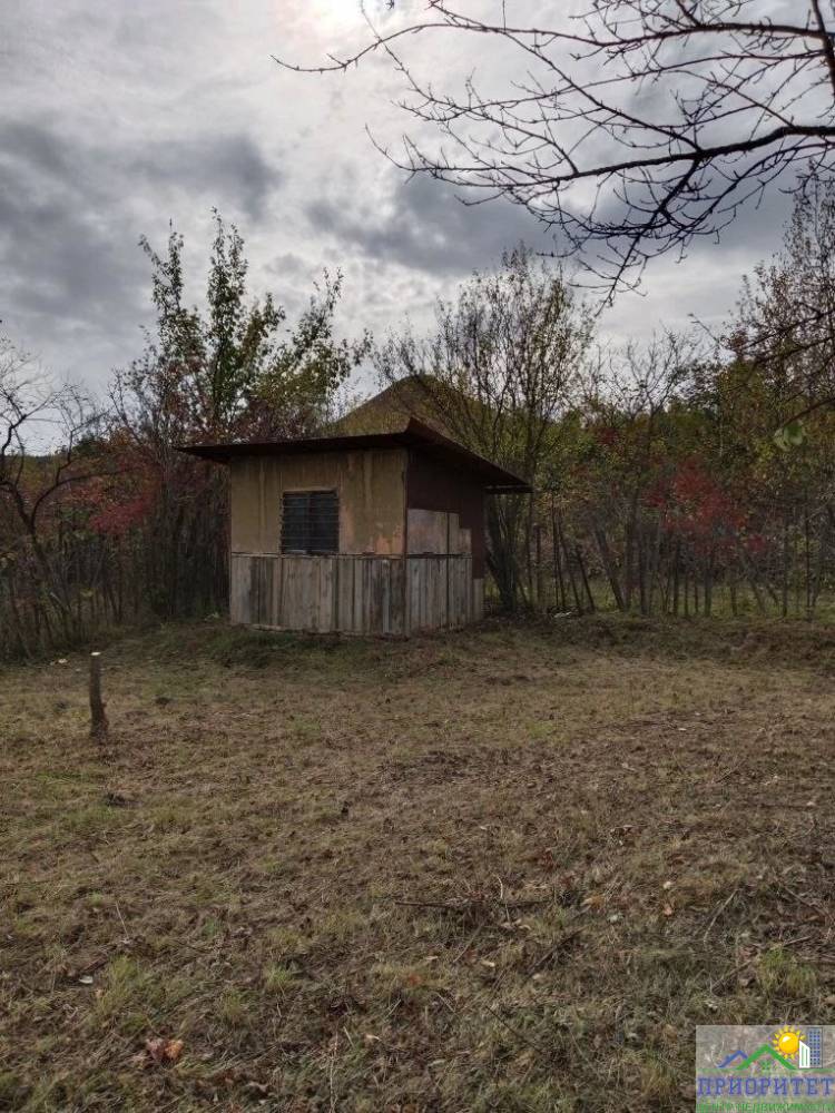 photo_5355228790075888938_y