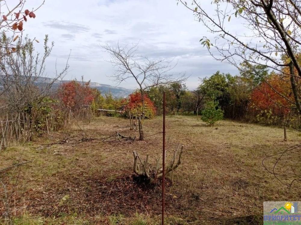 photo_5355228790075888939_y