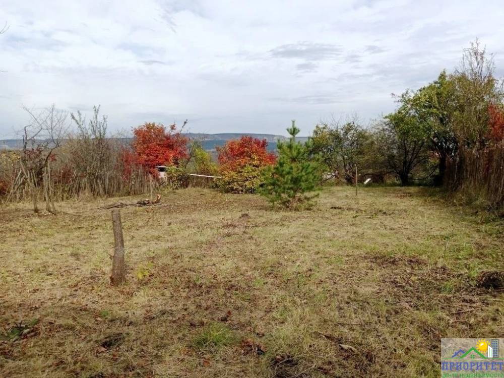 photo_5355228790075888941_y