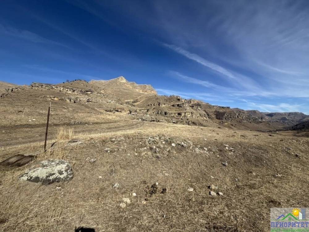 photo_5355143522090161541_y