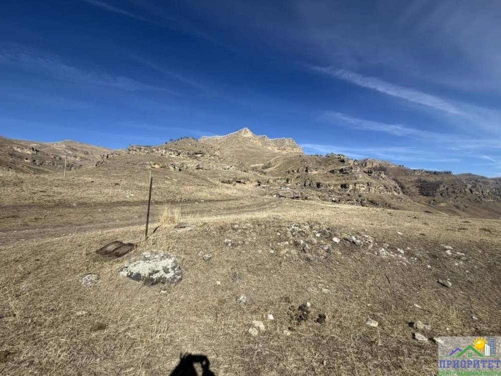 photo_5355143522090161543_y