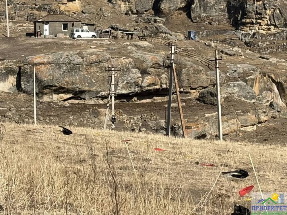 photo_5355143522090161545_y