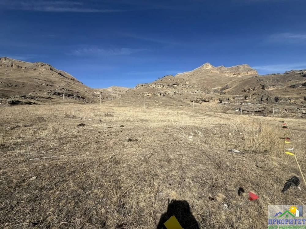 photo_5355143522090161546_y