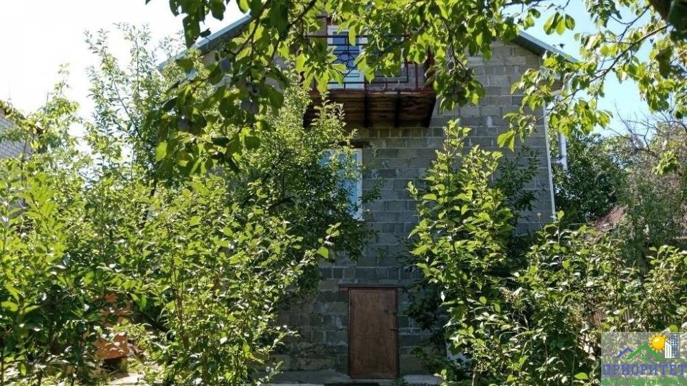 photo_5357395321903846427_y