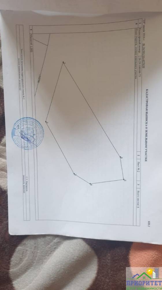 photo_5364079420592821978_y