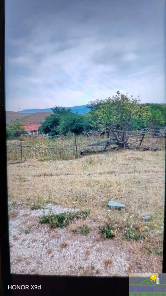 photo_5364079420592821981_y (1)