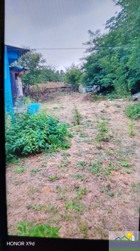 photo_5364079420592821983_y