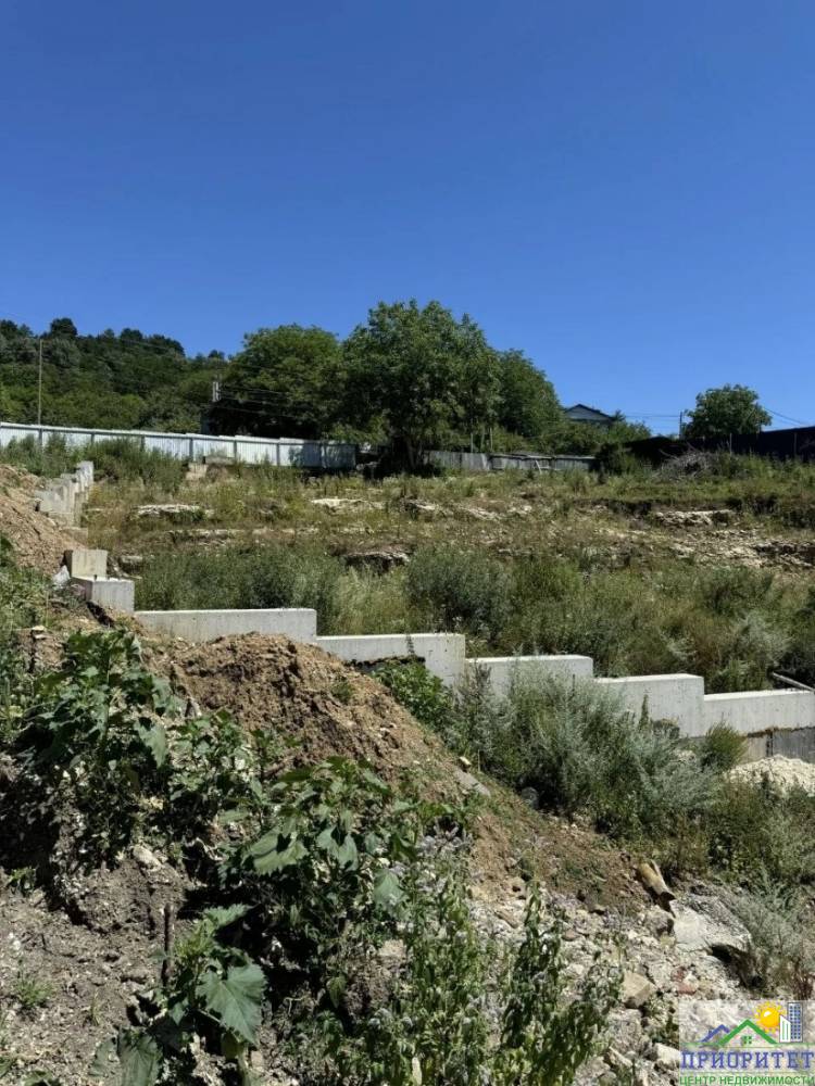 photo_5382098264393454563_y