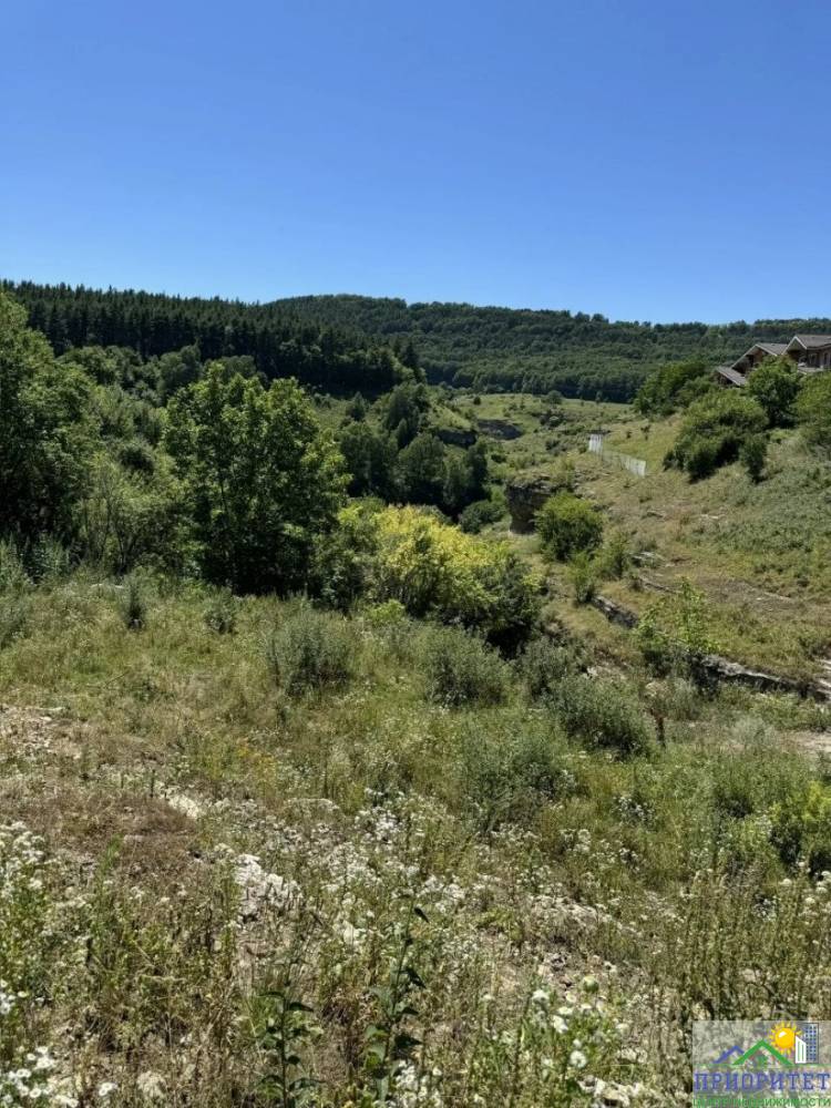 photo_5382098264393454565_y