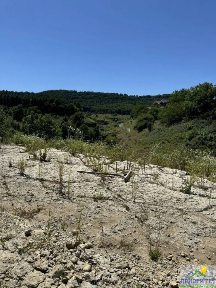 photo_5382098264393454566_y