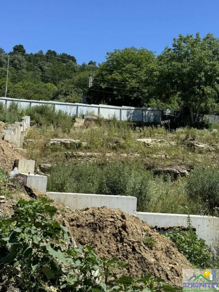 photo_5382098264393454567_y