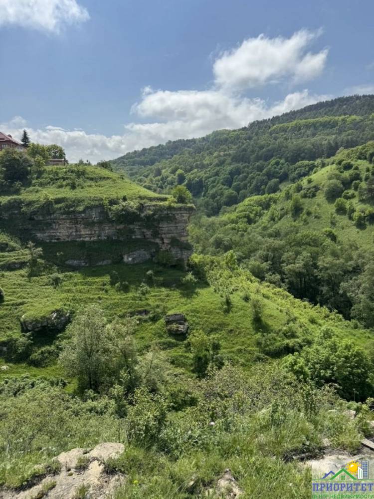 photo_5382098264393454568_y