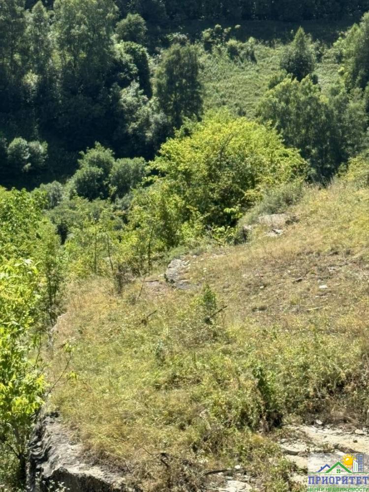 photo_5382098264393454569_y