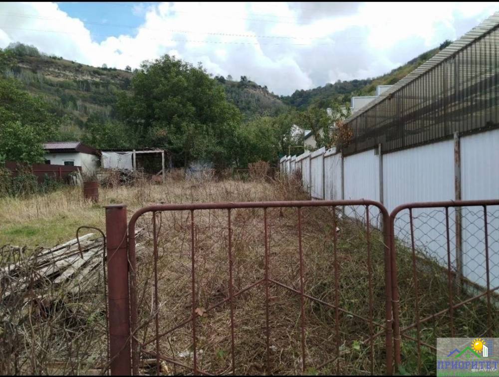 photo_5382098264393454590_y (1)