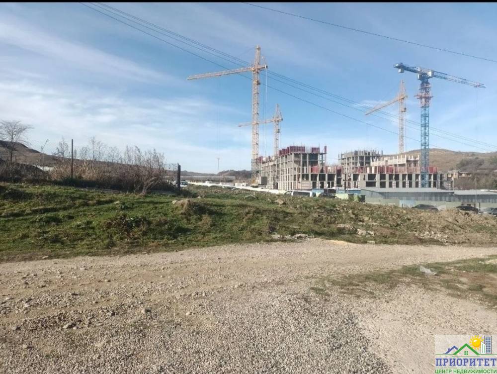 photo_5375074270582610419_y